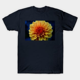 Designer 143064 x4 T-Shirt